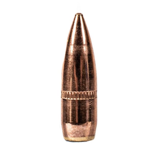AAC 223 (.224) 55gr 1000/ct Projectiles - 1000 - $104.99 + Free ...