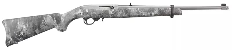 Ruger 10/22 Carbine Semi-Auto Rimfire Rifle with Stainless Steel Barrel