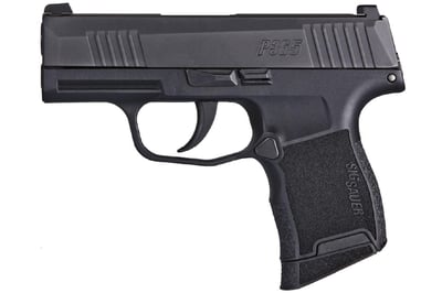 Sig Sauer P365 Nitron Micro-Compact 9mm 3.1" Pistol, two 10rd magazines, no thumb safety- $399.99