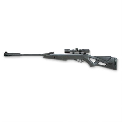 Gamo Silent Cat .177 cal. Air Rifle with 4x32mm Scope, Reconditioned - $62.99 (Buyer’s Club price shown - all club orders over $49 ship FREE)