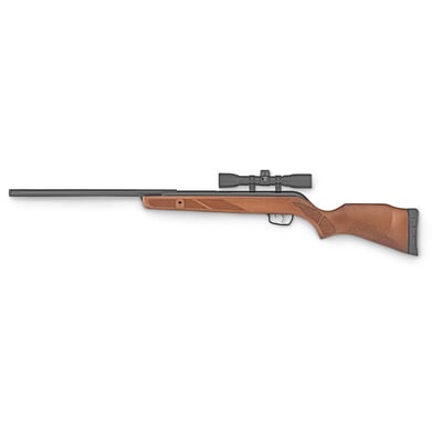 Gamo Big Cat Hunter Air Rifle with 4x32mm Scope, .22 cal., BONUS Competition Target - $89.99 (Buyer’s Club price shown - all club orders over $49 ship FREE)