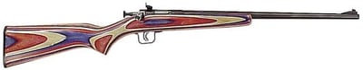 KEYSTONE Crickett 22 LR 16.1in Blued 1rd - $176.99 (Free S/H on Firearms)