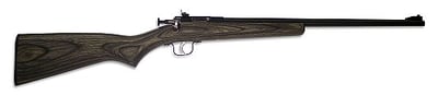 Crickett 22 Long Rifle Single Shot W/blue Barrel & Black Lam - $168.16