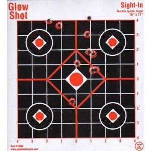 25 Pack - Sight-In 10" by 11" - $13.99 + FSSS* (Free S/H over $25)