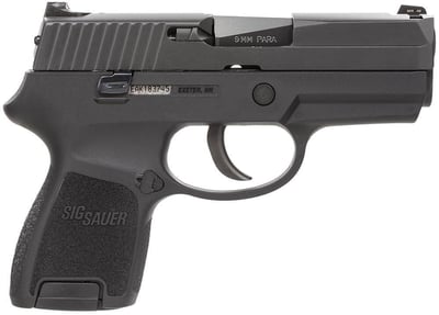 SIG Sauer P250 Sub-Compact 9mm 3.6 inches 12 rounds Night Sights - $399.99 (free store pickup)