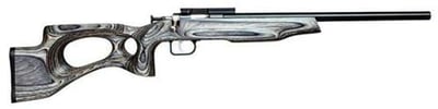 Crickett Black Target 22LR 1Rd 16.12" Tapered Bull Barrel, Blued Metal Finish, Fixed Thumbhole Black Laminate Stock W/12.25" Lop, NO Sights Includes Standard Scope Mount (Youth) - $224.99  ($7.99 Shipping On Firearms)