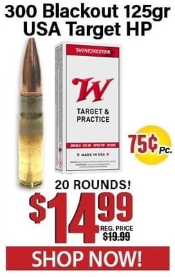 Winchester 300 Blackout 125 Grain USA Target Hollow Point 20 Rounds - $14.99