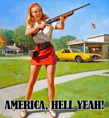 Americans Buy 10,800,000+ Guns in 2011 (AmmoLand.com)