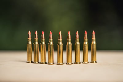 17 WSM Ammo from $0.19/rd @ wikiarms.com