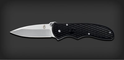 Gerber FAST Draw Spring-Assisted Stainless Steel Fine-Edge Knife - $21.10 (Free S/H over $25)