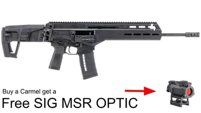 IWI Carmel Tactical 5.56 NATO 16" 30rd MLOK + FREE Sig MSR optic - $1599 (Email For Price)