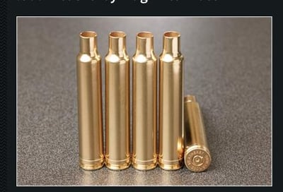 .300 Weatherby Mag Rifle Brass - $25