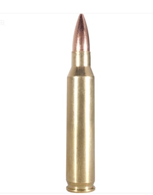 Armscor 223 Rem Ammunition FAC2231N 55 gr Full Metal Jacket 20 Rounds-Flat rate shipping $16.49, no sales tax,no cc fees- - $9.16
