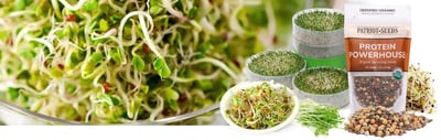 Organic Sprouting Seeds, Microgreens and Sprout Trays @ My Patriot Supply (Free S/H over $99)