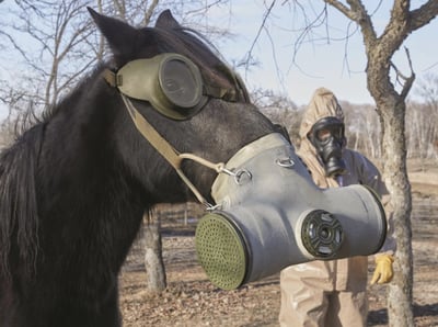 Romanian Military Surplus Horse Gas Mask, New - $62.99 (Free Shipping over $99)
