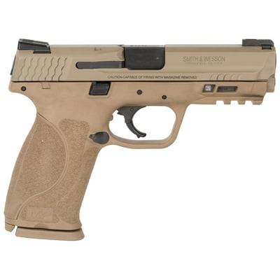 Smith & Wesson 11767 M&P M2.0 9mm Luger 4.25" 17+1 Flat Dark Earth Truglo TFX Sights - $574.99