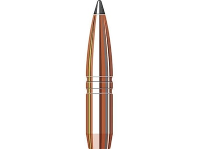 Factory Second Match Bullets 264 Caliber, 6.5mm (264 Diameter) 140 Grain Polymer Tip Boat Tail, 100 Count, BLEM - $30.79 (Free Shipping on $100+ Orders)