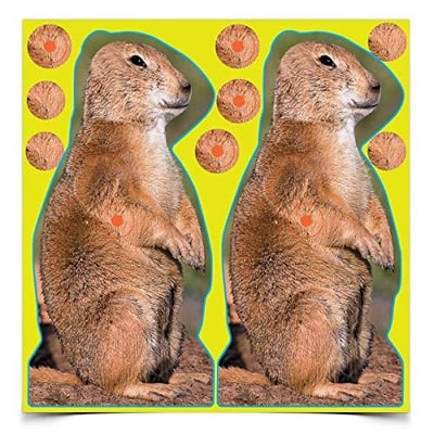 BIRCHWOOD CASEY Shoot-N-C 12" Prairie Chuck Reactive Targets - Highly Visible Instant Feedback Self-Adhesive Shooting Target Stickers - 12 Targets & 48 Repair Pasters - $3.49 + FREE Shipping