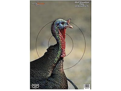 Birchwood Casey 35403 Shooting Target Pre Game Turkey Target 12 x 18, 8-Pack - $9.99 + FREE Shipping