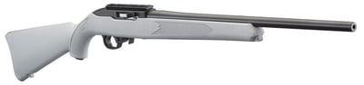 Ruger 10/22 Carbine .22 LR Rifle, Gray - $229