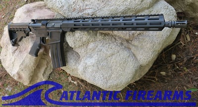 Delton Sierra 316L AR15 Rifle - $699