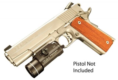 Streamlight TLR-1 300-Lumen Weapon Mounted Light with Rail Locating Keys for Glock Style, 1913 Picatinny, S&W 99/TSW, and Beretta 90two, Black - $124.12 + FREE Shipping
