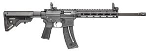 Smith & Wesson M&P15-22 Sport B5 22 LR 022188898248
