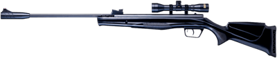 Beeman Sportsman .177 GAS RAM Air Rifle
