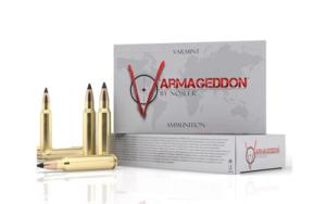 Nosler Varmageddon .308 Winchester 110 Grain Flat Base Tipped Brass Cased Centerfire Rifle Ammo 20 Rounds 40272