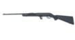 Savage Arms 62 F 22 LR 062654402029
