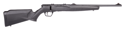Savage Arms B22F Compact 22 LR 062654702143