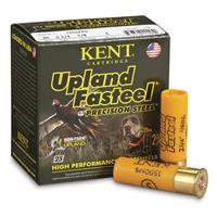 Kent Cartridge Upland Fasteel Precison Steel Upland Ammunition 20 Gauge 2-3/4" 7/8 oz #6 Non -Toxic Steel Shot Box of 25 0656308400969