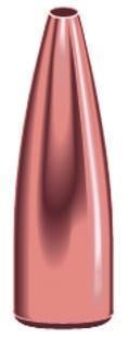 Speer Ammo Rifle Varmint TNT Hollow Point 1032