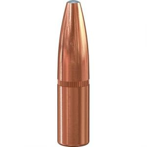 Speer Ammo Rifle Hunting Grand Slam 1643