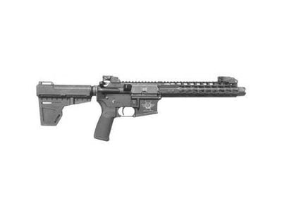 Civilian Force Arms Warrior-15 223/5.56 010117WP