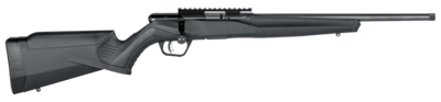 Savage Arms B22