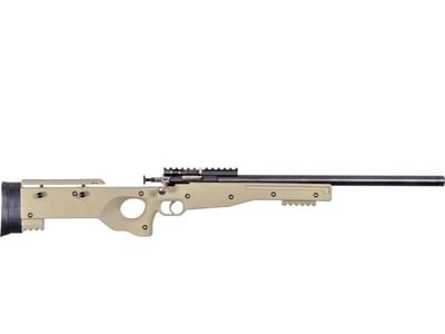 Crickett Precision Rifle