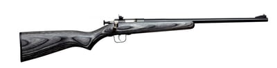 Keystone Sporting Arms Crickett 22 LR 611613022442