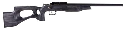 Crickett Black Target