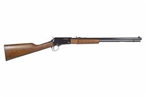 Henry Repeating Arms Co Henry Pump Action with Octagon Barrel 22 LR 619835012012
