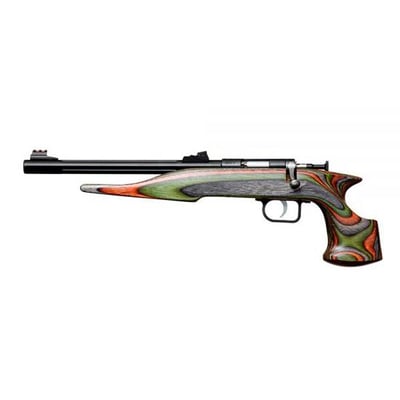 Crickett  22 LR 