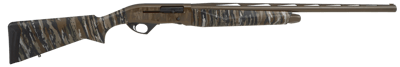 Pointer Phenoma