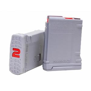 Amend2 Gray 10rd Magazine