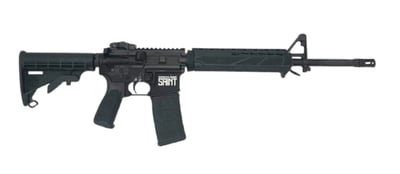 Springfield "Vault Gun" Saint