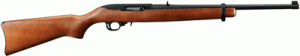 Ruger 10/22 Carbine