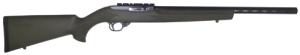 Ruger 10/22 Rifle