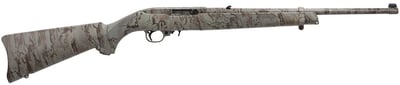 Ruger 10/22