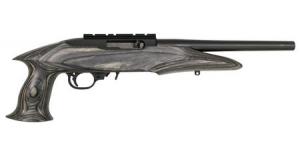 Ruger 22 Charger
