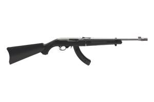Ruger 10/22 Take Down (Davidsons Exclusive)
