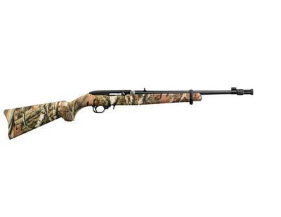Ruger 10/22 Takedown